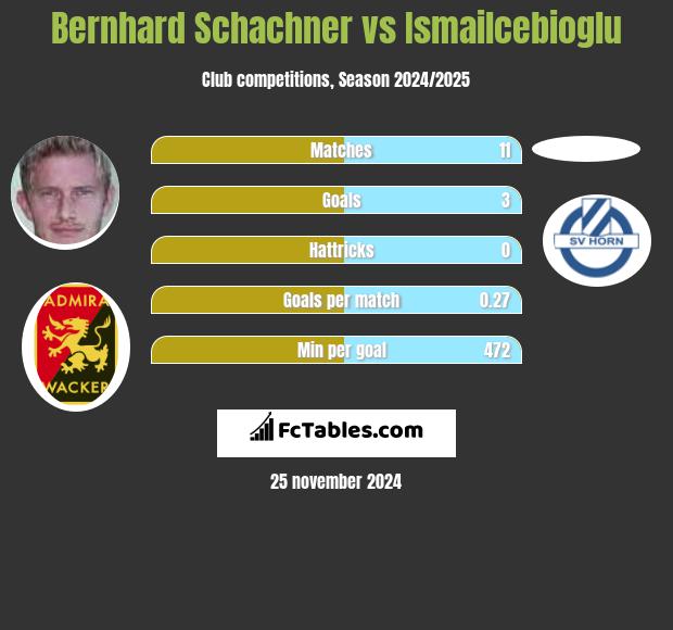 Bernhard Schachner vs Ismailcebioglu h2h player stats