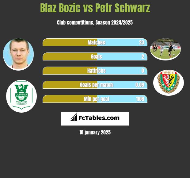 Blaz Bozic vs Petr Schwarz h2h player stats