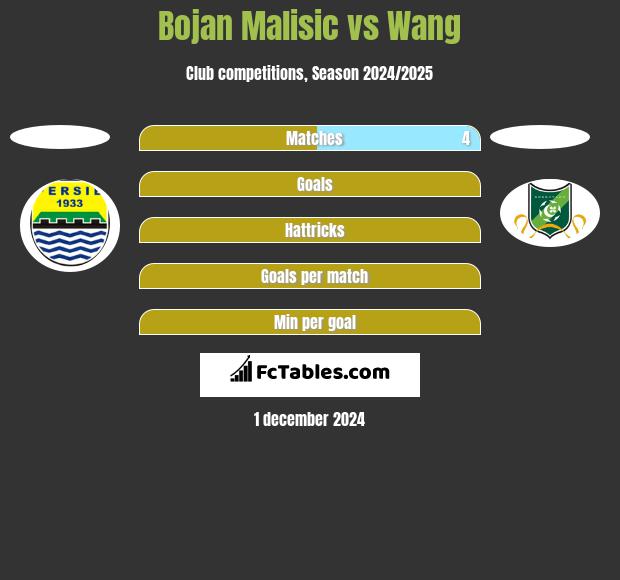 Bojan Malisic vs Wang h2h player stats