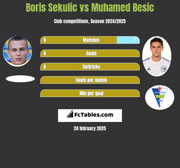 Boris Sekulic vs Muhamed Besic h2h player stats