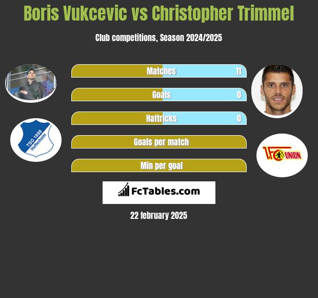 Boris Vukcevic vs Christopher Trimmel h2h player stats