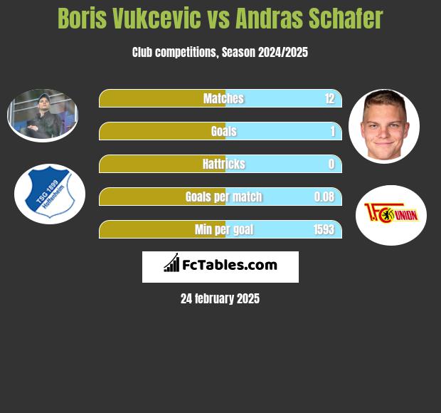 Boris Vukcevic vs Andras Schafer h2h player stats