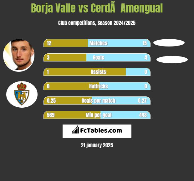 Borja Valle vs CerdÃ  Amengual h2h player stats