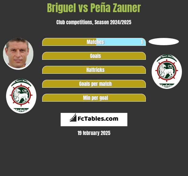 Briguel vs Peña Zauner h2h player stats