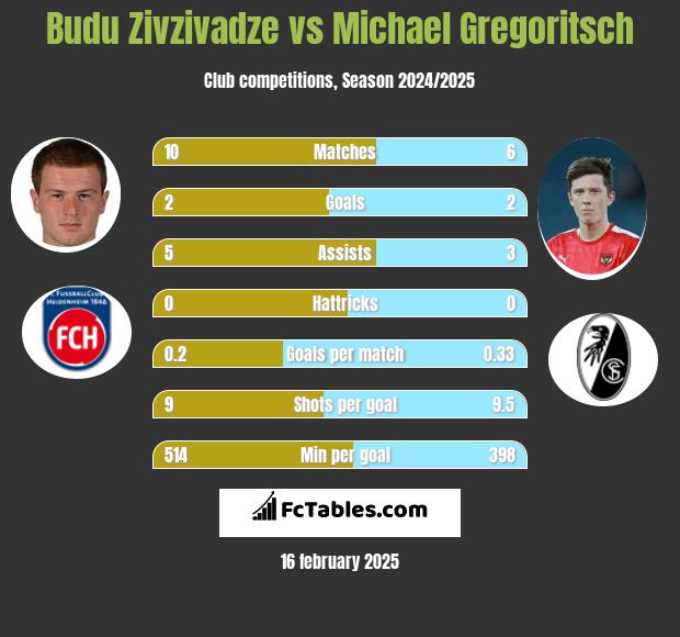 Budu Zivzivadze vs Michael Gregoritsch h2h player stats