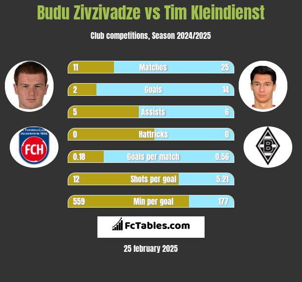 Budu Zivzivadze vs Tim Kleindienst h2h player stats