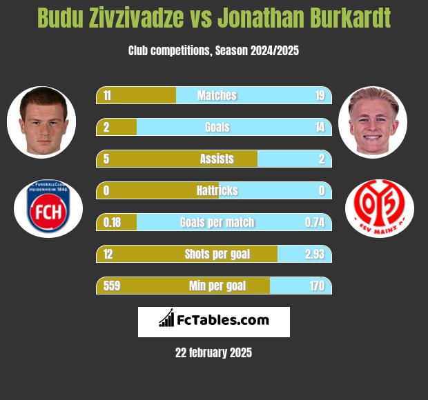 Budu Zivzivadze vs Jonathan Burkardt h2h player stats