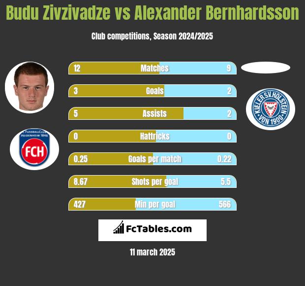 Budu Zivzivadze vs Alexander Bernhardsson h2h player stats