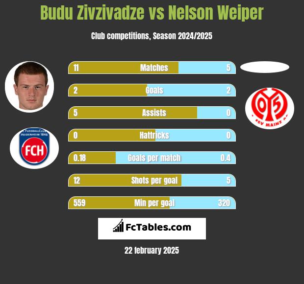 Budu Zivzivadze vs Nelson Weiper h2h player stats