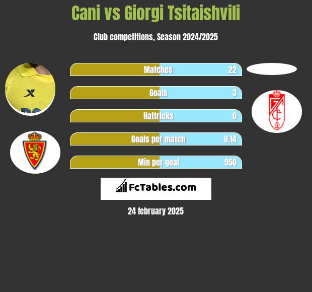 Cani vs Giorgi Tsitaishvili h2h player stats