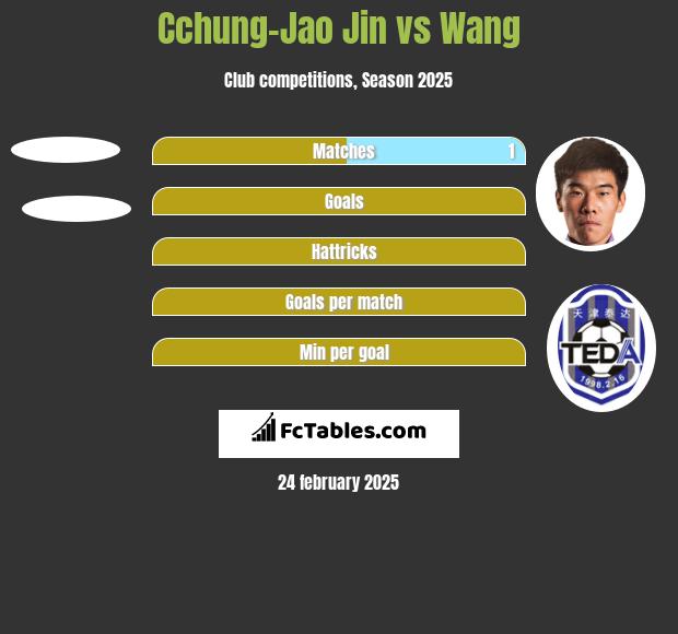 Cchung-Jao Jin vs Wang h2h player stats