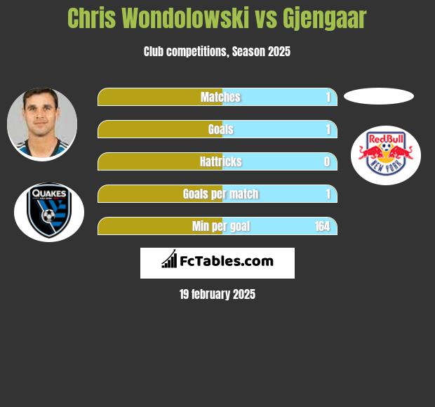 Chris Wondolowski vs Gjengaar h2h player stats