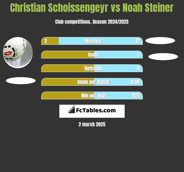 Christian Schoissengeyr vs Noah Steiner h2h player stats