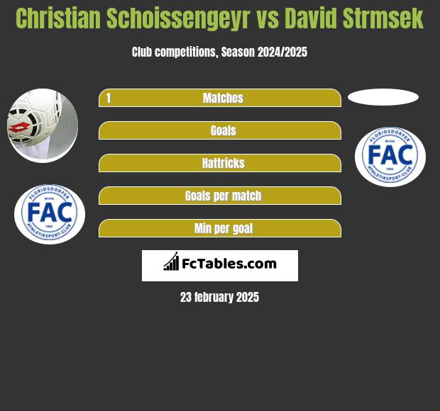 Christian Schoissengeyr vs David Strmsek h2h player stats