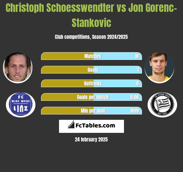 Christoph Schoesswendter vs Jon Gorenc-Stankovic h2h player stats