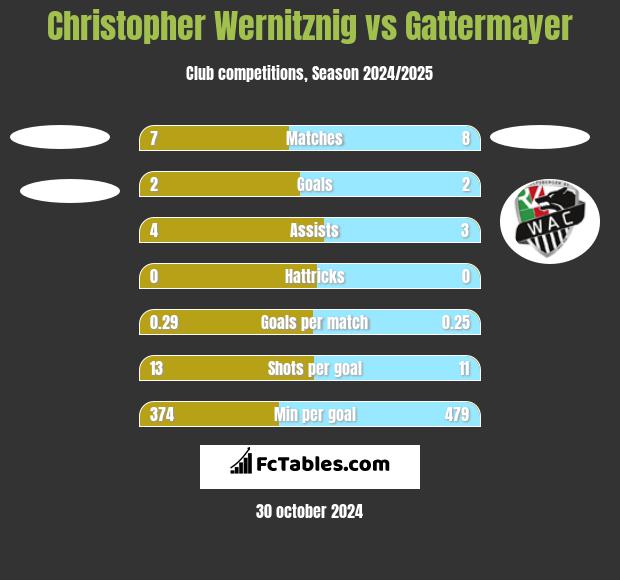 Christopher Wernitznig vs Gattermayer h2h player stats