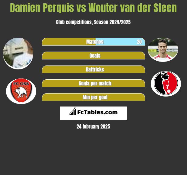 Damien Perquis vs Wouter van der Steen h2h player stats