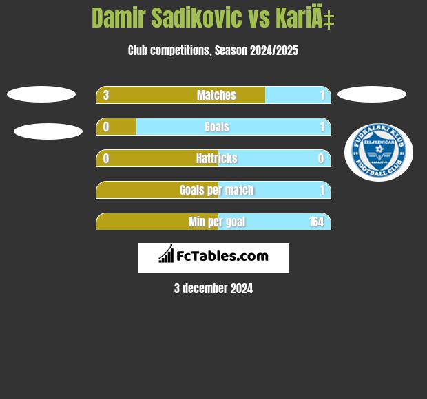 Damir Sadikovic vs KariÄ‡ h2h player stats