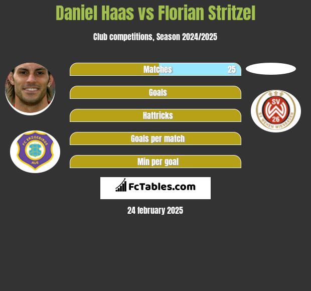 Daniel Haas vs Florian Stritzel h2h player stats