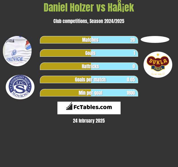 Daniel Holzer vs HaÅ¡ek h2h player stats