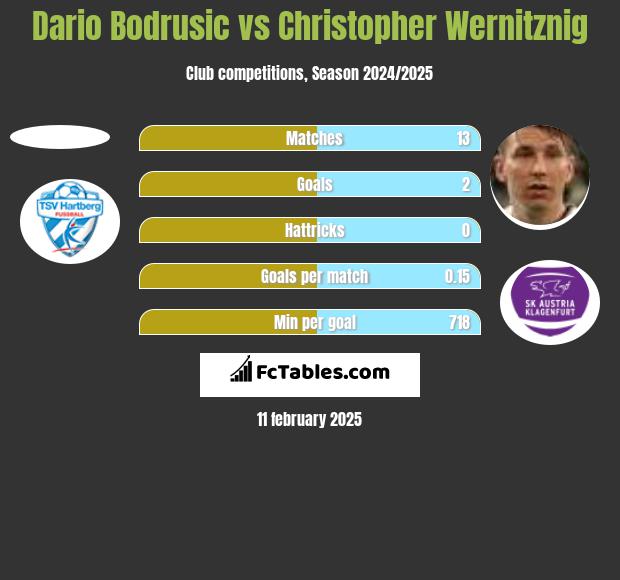 Dario Bodrusic vs Christopher Wernitznig h2h player stats