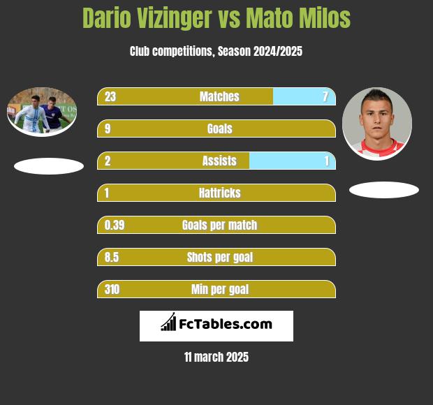 Dario Vizinger vs Mato Milos h2h player stats