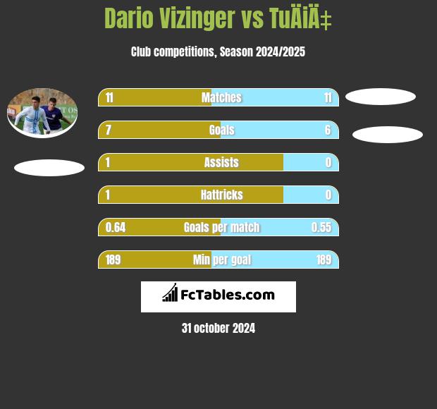 Dario Vizinger vs TuÄiÄ‡ h2h player stats