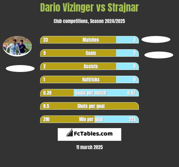 Dario Vizinger vs Strajnar h2h player stats