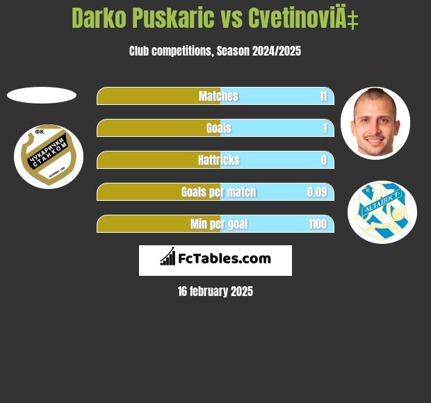 Darko Puskaric vs CvetinoviÄ‡ h2h player stats