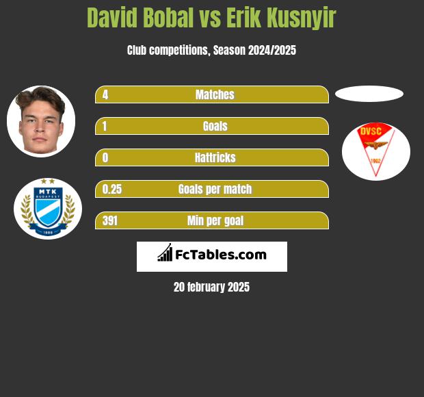 David Bobal vs Erik Kusnyir h2h player stats