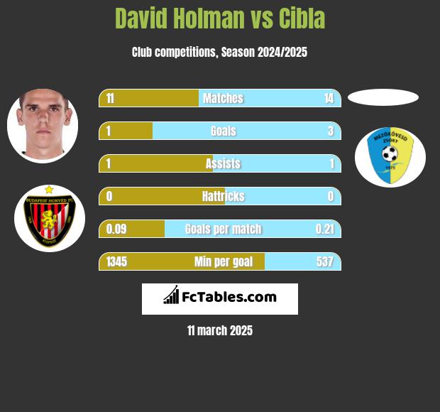 David Holman vs Cibla h2h player stats