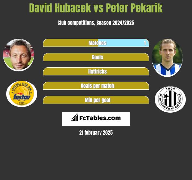 David Hubacek vs Peter Pekarik h2h player stats