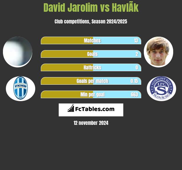 David Jarolim vs HavlÃ­k h2h player stats