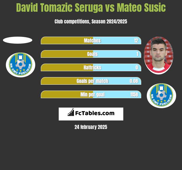 David Tomazic Seruga vs Mateo Susic h2h player stats