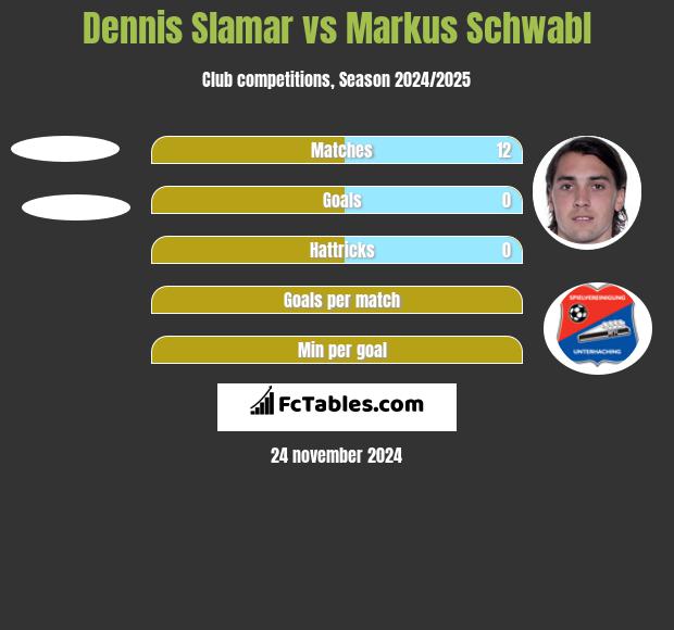 Dennis Slamar vs Markus Schwabl h2h player stats