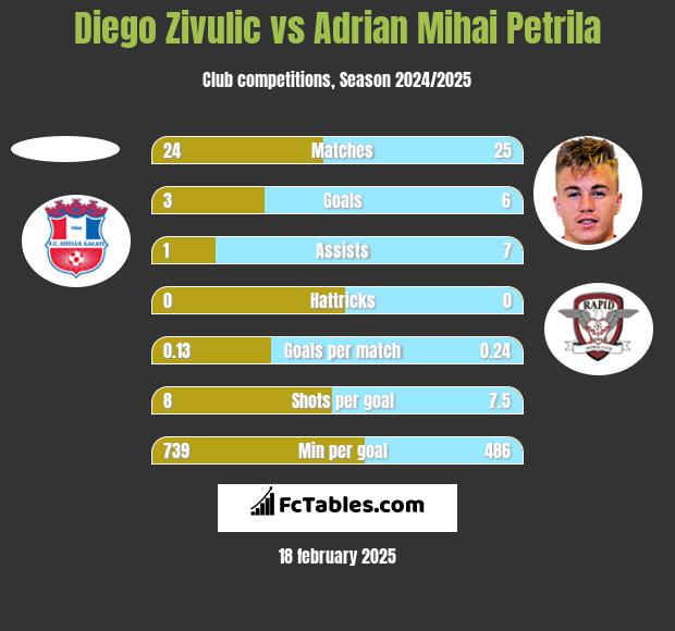 Diego Zivulic vs Adrian Mihai Petrila h2h player stats