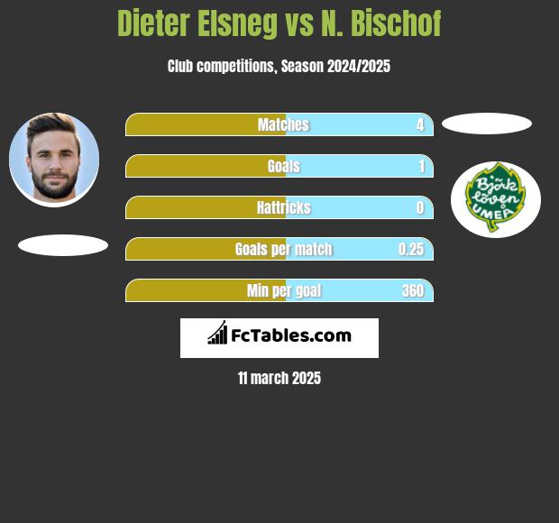 Dieter Elsneg vs N. Bischof h2h player stats