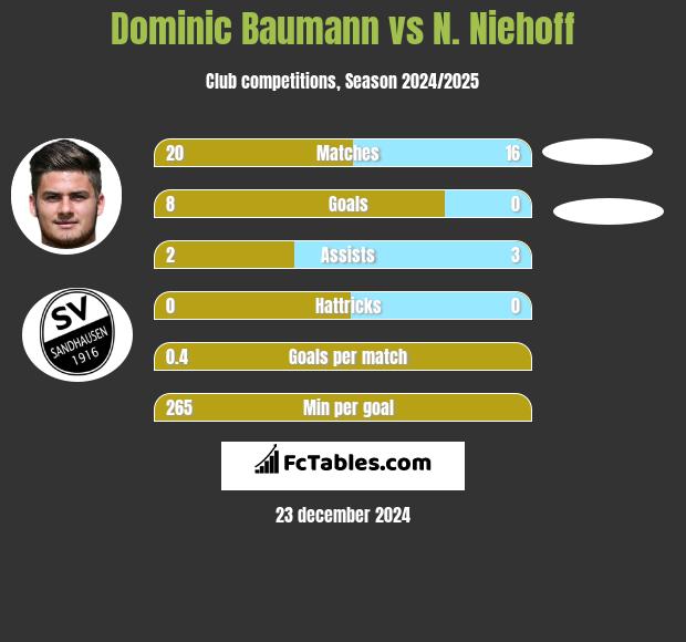 Dominic Baumann vs N. Niehoff h2h player stats