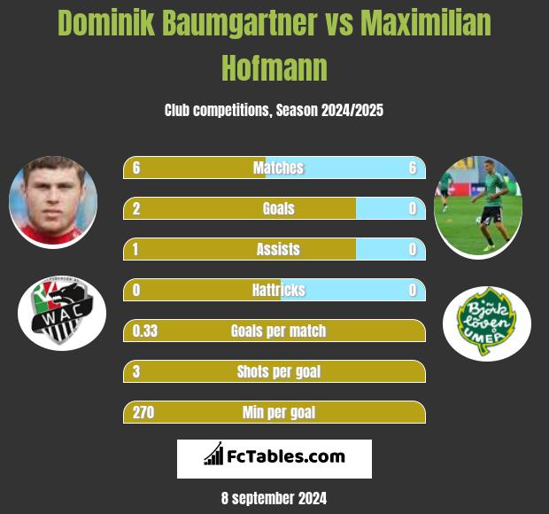 Dominik Baumgartner vs Maximilian Hofmann h2h player stats