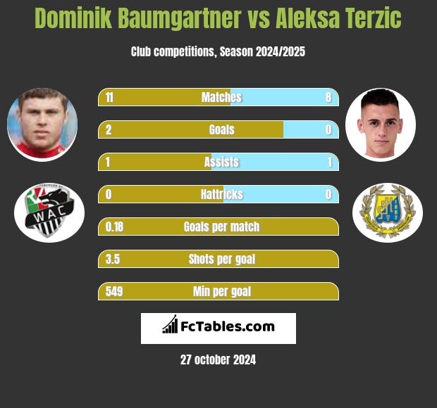 Dominik Baumgartner vs Aleksa Terzic h2h player stats