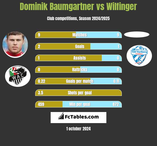 Dominik Baumgartner vs Wilfinger h2h player stats