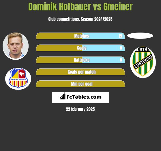 Dominik Hofbauer vs Gmeiner h2h player stats