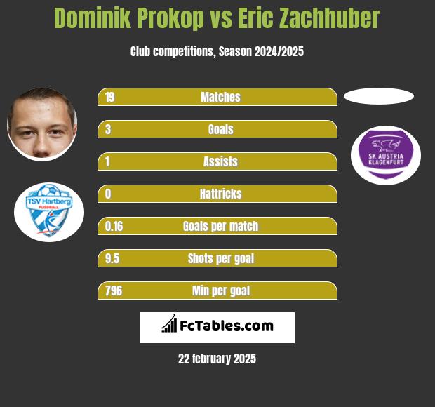 Dominik Prokop vs Eric Zachhuber h2h player stats