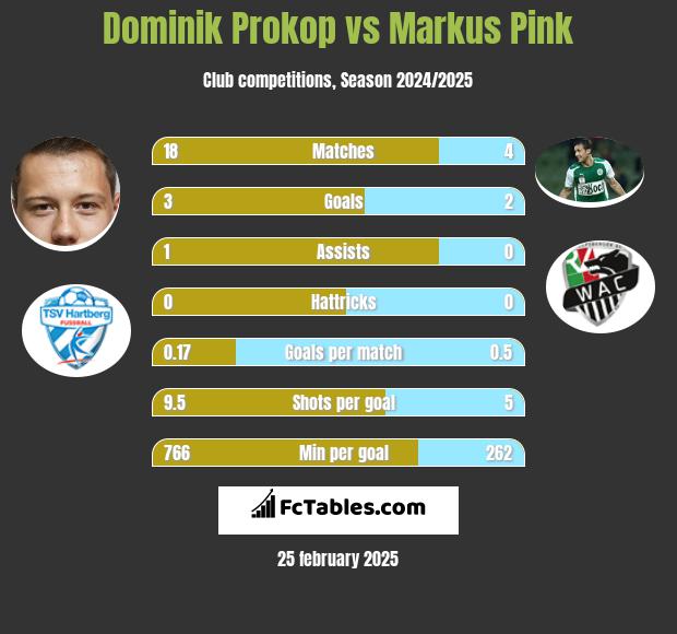 Dominik Prokop vs Markus Pink h2h player stats