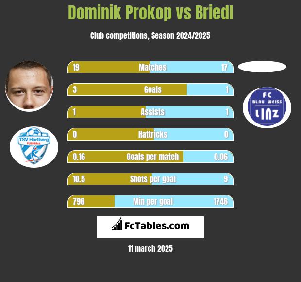 Dominik Prokop vs Briedl h2h player stats