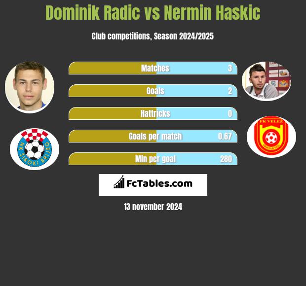 Dominik Radic vs Nermin Haskic h2h player stats