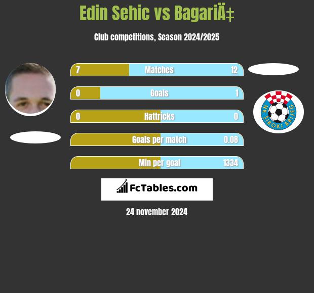 Edin Sehic vs BagariÄ‡ h2h player stats