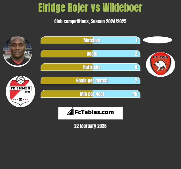 Elridge Rojer vs Wildeboer h2h player stats