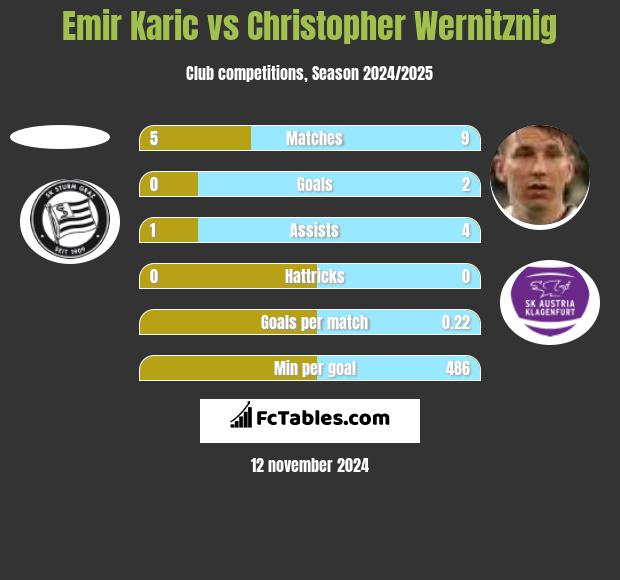 Emir Karic vs Christopher Wernitznig h2h player stats