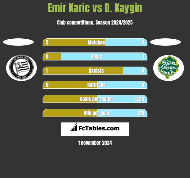 Emir Karic vs D. Kaygin h2h player stats